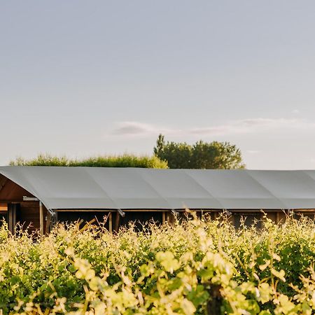 Villas & Vines Glamping Гастінгс Екстер'єр фото