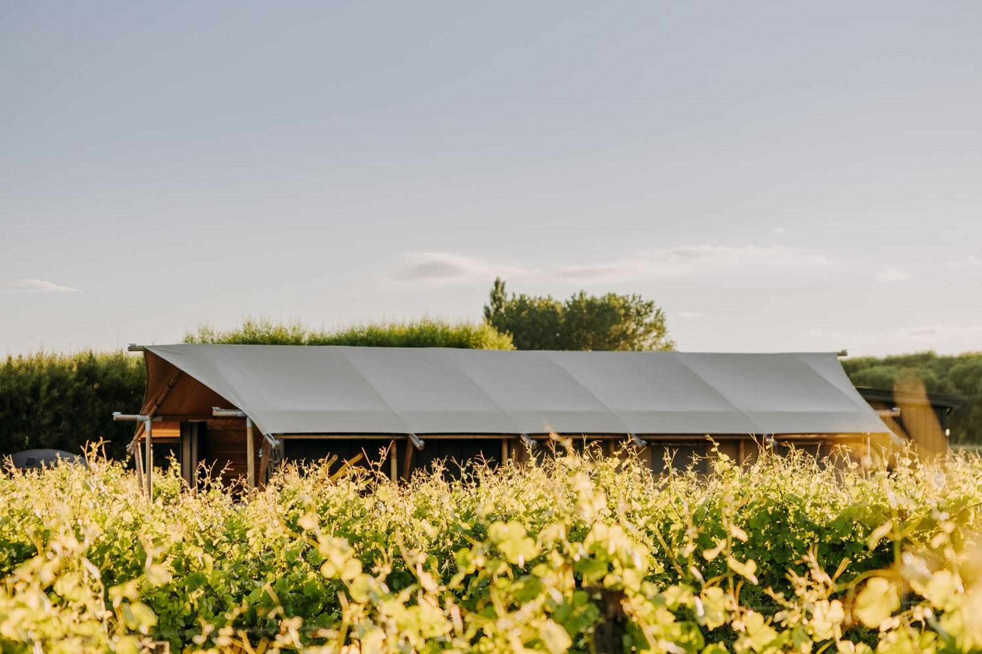 Villas & Vines Glamping Гастінгс Екстер'єр фото