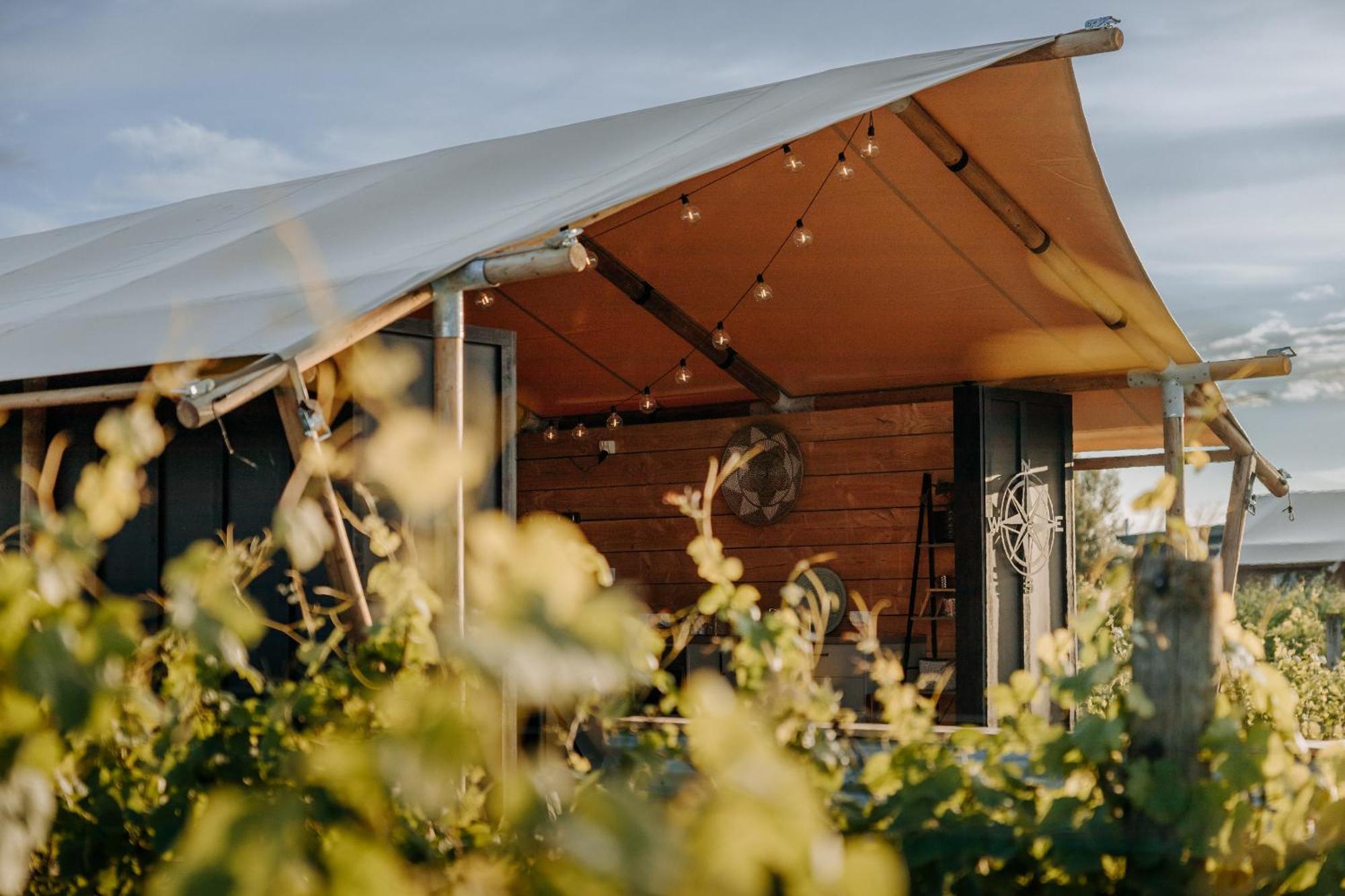 Villas & Vines Glamping Гастінгс Екстер'єр фото