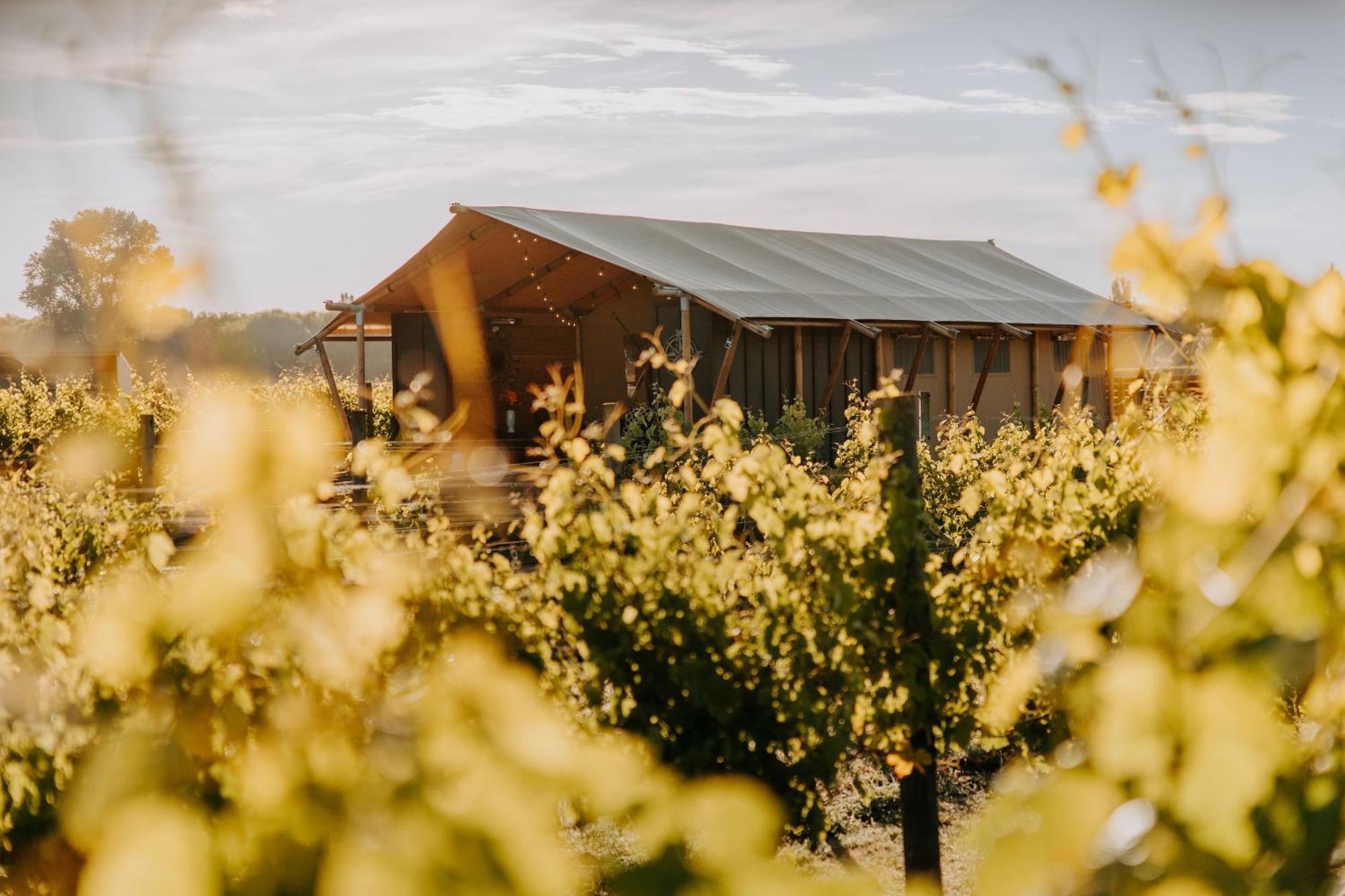 Villas & Vines Glamping Гастінгс Екстер'єр фото