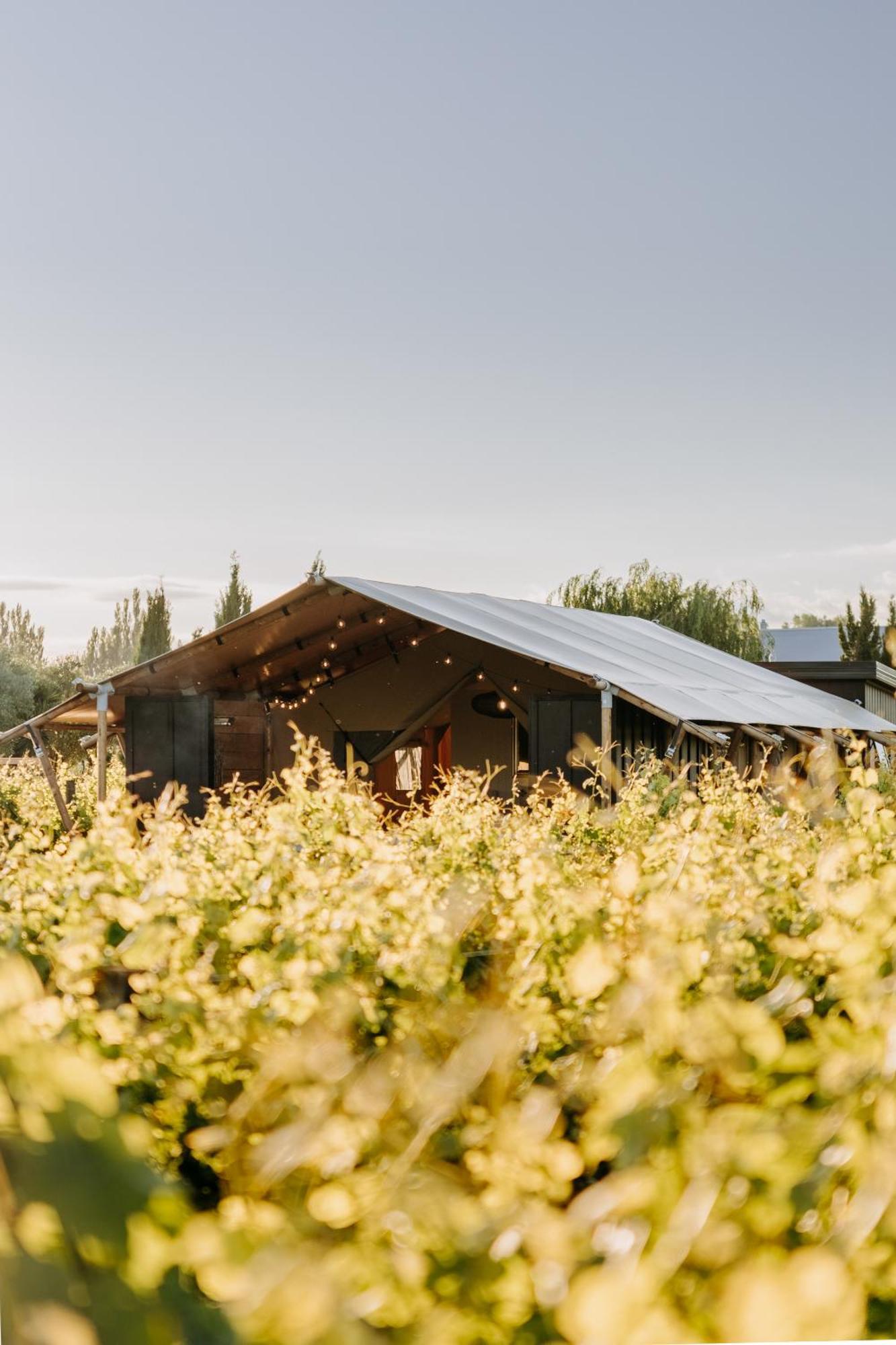 Villas & Vines Glamping Гастінгс Екстер'єр фото